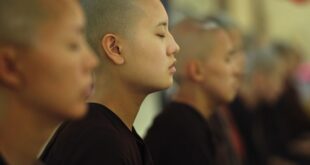 Meditation in Buddhism Beliefs